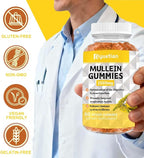 Mullein Gummies, 2000mg Organic Mullein Leaf Extract with Quercetin, Bromelain & Vitamin D3, Mullein Leaf Extract for Respiratory, Natural Lung Cleanse, Improve Appetite, Vegan, Non-GMO, 1 Pack