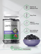 Horbäach Lion's Mane Supplement | 60 Vegan Gummies for Adults | Non-GMO and Gluten Free