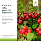 Terry Naturally Urinary Tract Intensive Support - Supplement with Cranberry for Bladder Health Support - Kidney Health Supplement with D-Mannose & Vitamin C - 60 Capsules (30 Servings)