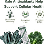 Yamamoto Kanpoh YAMAKAN Kale Powder with Fiber & Vitamin B Blend, Super Greens Powder for Kale Juice Drink, Greens Superfood Mix from Japan, Vegan, 22 Count