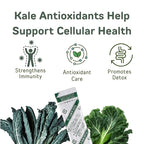 山本漢方製薬株式会社 YAMAKAN Natural Kale Powder for Smoothies& Drinks, Kale Green Juice, Powder Kale Drink with Fiber for Daily Energy, Digestive Gut Health& Immune System, Vegan from Japan, 44 Count