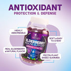 Elderberry Immune Support Gummies - Elderberry Extract Sambucus Nigra - Black Elder Berry Vitamin Supplement - Natural, Daily Immune Support Kids & Adults Love - Delicious Berry Flavor - 120 Gummies