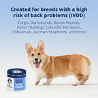 Under The Weather Pet Disc & Spine Health Chews for Dogs | Vet Formulated Dog Chews Spinal Disc Support Supplement | Ideal for Pugs French Bulldogs Dachshunds & Long-Backed Breeds with IVDD | 60 Count
