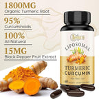 Liposomal Turmeric Curcumin Supplement - 2000mg, 95% Curcuminoid Extract with Piperine - 60 Softgels (2 Bottle)
