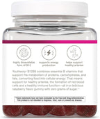Youtheory B12B6 Zero Sugar Gummy 90ct