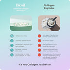 Biosil Collagen Booster Supplement - 60 Vegan Capsules - Patented ch-OSA Activator for Skin, Hair, Nails & Joints - Supports Natural Production - 30-Day Supply (Pack of 2)