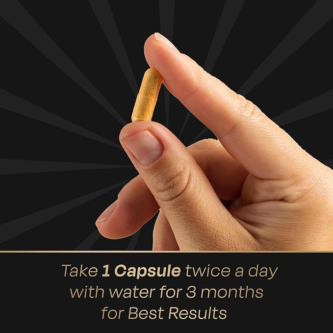 Auric Milk Thistle ++ 60 Capsules | Elite Formula | Daily Wellness Support | Veg Capsules | Gluten-Free | Additive-Free | Plant-Based| 500 mg Actives per Serve