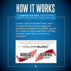 SIRENLABS L-Carnitine Elite Burn Liquid Keto Fat Burner and Metabolism Activator - Fat Loss Support Keto Friendly Weight Loss Increase Energy-Stimulant Free - Malibu Beach Blast 3000mg (32 Servings)