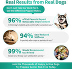 Advanced Dog Joint Supplement – 15-in-1 Glucosamine for Dogs with Chondroitin, MSM & Green Lipped Mussel – Hip & Joint Pain Relief Mobility Chews, Chicken Flavor, 90Ct Breeds