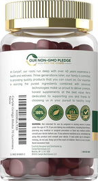 Carlyle Ginkgo Biloba | 70 Gummies | 45:1 Leaf Extract | with Peach Raspberry Flavor | Vegan, Non-GMO, Gluten Free Supplement