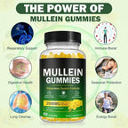 Mullein Gummies for Lungs, Mullein Extract for Smokers - Support Lung & Respiratory Health, Soothes Throat Irritation, Boost Immune - Mullein Leaf Extract for Lungs, Breathe Easier - 60pcs