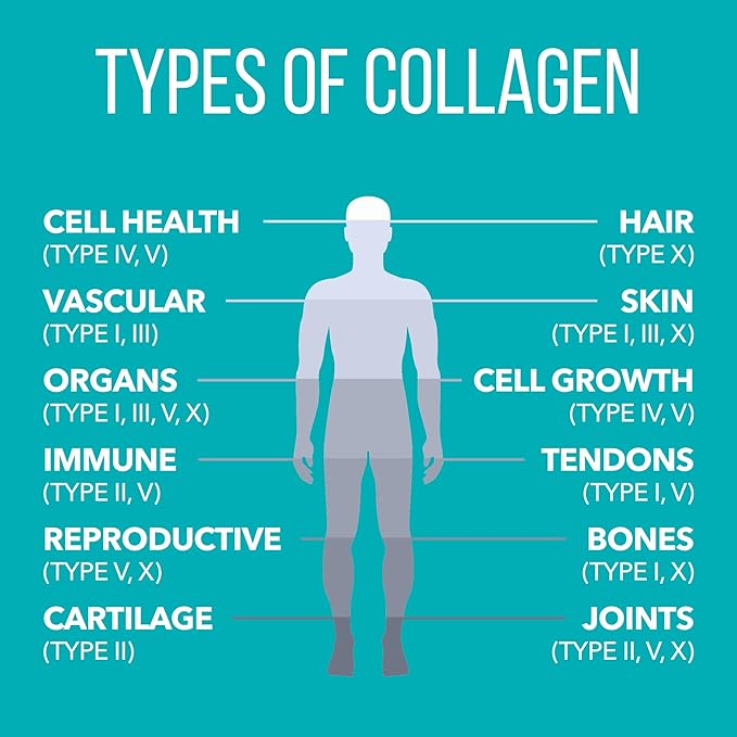 NaturesPlus Collagen Peptides, Chocolate - 0.83 lb Powder - Hair, Skin, Nail & Joint Health, Immune System Support - Non-GMO, Gluten Free - 14 Servings