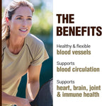 LABO Nutrition Ultimate VesseCLEAR EX Nattokinase NSK-SD 4000FU & Elastin F, Vessel Circulation & Brain Health Support, Japanese Supplement Shelf Stable Acid Resistant DRCaps Delayed Release Capsules