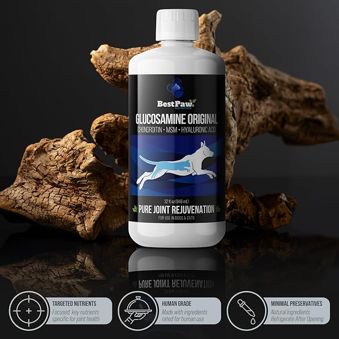 Best Paw Nutrition Glucosamine Chondroitin for Dogs & Cats - Liquid Hip and Joint Supplement with MSM & Hyaluronic Acid - Joint Support for Arthritis, Hip Dysplasia and Pain Relief - 32 oz