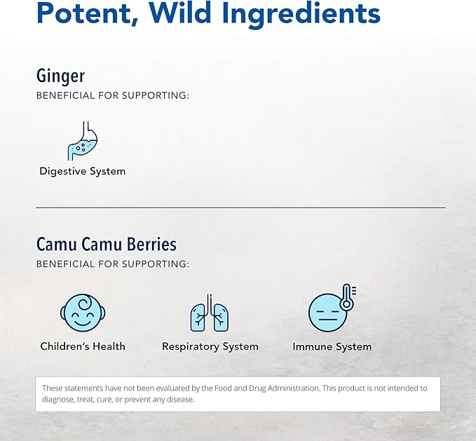 NORTH AMERICAN HERB & SPICE Inflam-eeZ - 90 Capsules - Supports Healthy Immune & Inflammatory Response - Ginger Root, Camu Camu Berries, Bromelain & Papain Plus - Non-GMO - 45 Total Servings