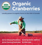 Organic Cranberry Pills - Vegan Supplement for Urinary Tract Health & Kidney Cleanse - Cranberry Pills for Women 500mg 50:1 Cranberry Concentrate Per Serving - Urinary Tract Support - 120 Capsules