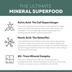 Flora Fulvic | Fulvic Acid + Humic Acid Complex – 550 mg |Mined in Utah, Prehistoric Deep Earth Extract | Immunity, Gut, Digestion – Natural Trace Mineral Complex, Fulvic Acid Supplement – 60 Capsules