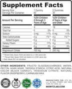 DR. MORITZ Sugar-Free Calm Magnesium Gummies for Kids and Adults - Non-GMO Kids Magnesium Gummies - Raspberry Flavor - 1-Pack (60 Count)