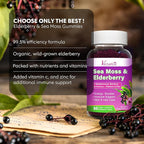 2 Pack Elderberry Gummies with Sea Moss, Extra Strength Elderberry with Vitamin C, Zinc for Immune Support for Adults, Kids, Women & Men, Blueberry Flavor 120Cts