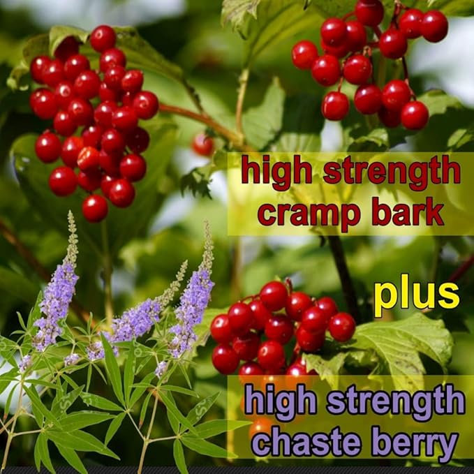 Menstrual Cramp Period Gummies True Roots | PMS Support Supplement for Women | Healthy Flow | Flo PMS Menstrual Cycle Relief, Cramping and Bloating | Vegan & Natural Flavors | 60 Count