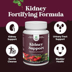 Advanced Kidney Support Supplement - Kidney Cleanse Detox & Repair Cranberry Extract Capsules with Uva Ursi, Stinging Nettle & Astragalus for Kidney Health - Urinary Tract Health - 240 Count