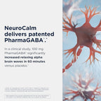 Designs for Health NeuroCalm - Supports Mood & Stress Relief with GABA, Inositol, L-Theanine, 5HTP, Vitamin B12 and B6, Taurine, Chamomile, Magnesium, and PharmaGABA - Gluten Free, Vegan (60 Capsules)
