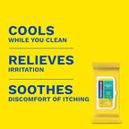 Preparation H Hemorrhoid Flushable Wipes with Witch Hazel for Skin Irritation Relief - 48 Count