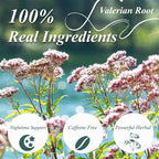 WT WEETEE Valerian Root Tea Bags, Made with Pure Valerian Root (Valeriana), 50 Count Earthy/Woody Herbal Tea Bags, Naturally Caffeine-free