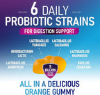 Probiotic Gummies - 6 Premium Probiotic Strains - Daily Gut Health Pro Biotic Gummy Supplement for Women, Men & Teens, Natural Digestive Health Support, “Good” Gut & Immune Support - 60 Gummies