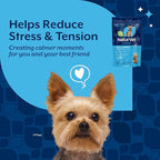 NaturVet Quiet Moments Calming Dog Supplement, Dog Soft Chews with Melatonin to Help Reduce Stress from Storms, the Vet, Fireworks, and Travel, Bacon and Chicken Flavored Pet Supplement, 65 Count