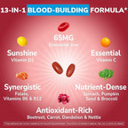 Iron Supplement for Women & Men, 65 mg, Ferrous Sulfate, Vitamin C, D3, B6, B12, Folate, Beet Root, Spinach, Pumpkin Seeds, Nettle, for Red Blood Cell & Energy Production, 90 Tablets
