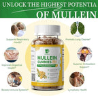 (2 Pack) 9 in 1 Mullein Gummies for Lung Cleanse & Lymphatic Drainage*, Extra Strength Mullein Leaf Extract w/Quercetin, Bromelain, Elderberry & Marshmallow for Respiratory & Immunity,Vegan,120 Count