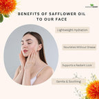 Mayan's Secret Organic Safflower Oil – High Oleic, Expeller Pressed, 100% Pure & Non-GMO, Rich in Vitamin E & Oleic Acid, Deep Moisturizing Oil for Soft Healthy Skin