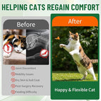 Liquid Collagen for Cats, Cat Collagen Drops with Bovine Collagens, Biotin & Vitamin C, Mobility & Flexibility, Itch Relief, Skin, Coat & Immunity Support, Cat Joint Supplement for Cats