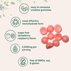 Creatine Monohydrate Gummies 5,000mg Per Serving, 120 Count | Sugar Free Strawberry Raspberry Flavored | Creatine for Women & Men | Pre Workout + Muscle Strength & Recovery Support | Non-GMO