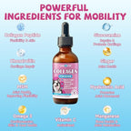 Collagen for Dogs Joint Health, Grass-fed Dog Collagen Drops with Omega 3, Vitamin C for Skin & Coat, Dog Hip and Joint Supplement with Glucosamine, Chondroitin, Hyaluronic Acid-Bone, Immune-2 Fl