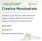SteelFit Creapure Creatine Monohydrate Powder, Unflavored - German Micronized Creatine Powder for Men & Women - Gym Workout Nutritional Supplements for Muscle Gain, Brain Health & Strength Building