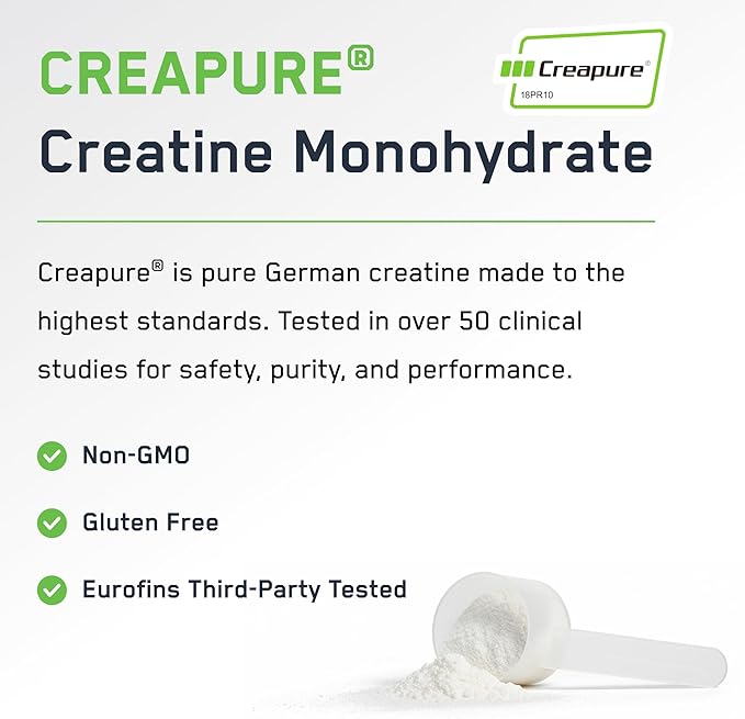 SteelFit Creapure Creatine Monohydrate Powder - German Micronized Creatine Powder for Men & Women - Gym Workout Nutritional Supplements for Muscle Gain, Brain Health & Strength Building, 30 Servings