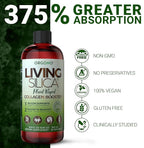 Living Silica Plant Based Collagen Booster | Vegan | Supports Healthy Collagen and Elastin Production for Joint & Bone Support, Glowing Skin, Strong Hair & Nails 500 ml | 16.9 Fl Oz