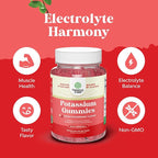 High Potency Potassium Gummies for Adults - Powerful Potassium Supplement Gummies for Optimal Health - Delicious Strawberry-Flavored - Vegan - 60 Count