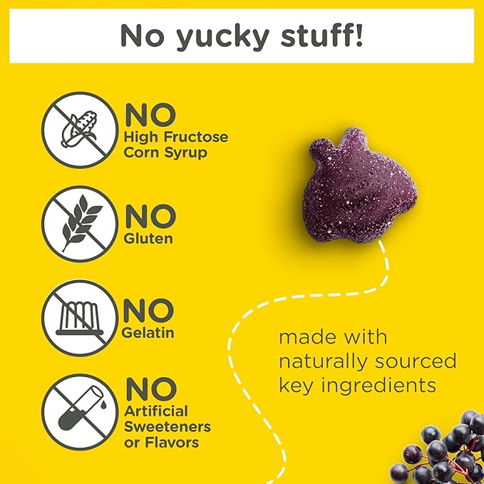 Zarbee’s Kids Elderberry Immune Support Supplement Gummies, Vitamins A C D3 E & Zinc, Elderberry Extract, Gluten & Gelatin Free, No Artificial Flavors, Natural Berry Flavor, Ages 2+, 42 Ct