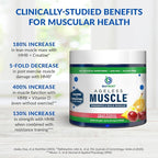 BioTrust Ageless Muscle Builder - Creatine HMB Powder with Vitamin D3 & Betaine - Build & Preserve Naturally Declining Muscle Mass & Strength - Fruit Punch, 60 Servings