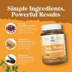 Sea Moss Gummies for Adults and Kids - Vegan Adult and Kids Immune Support Gummies with Burdock Bladderwrack Sea Moss Gel - Delicious Berry Flavor Supplement Men Women Children - 30 Count