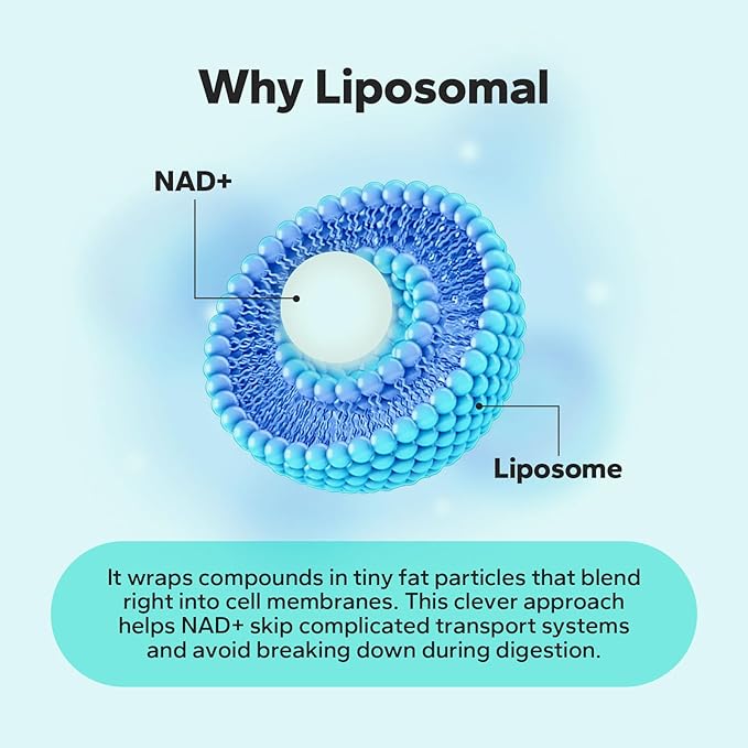 Liposomal NAD+ Supplement 650mg, NAD+, Resveratrol & Quercetin Complex for Cellular Energy, Third-Party Tested, NMN Supplement Alternative, 60 Capsules