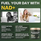 Airboy NAD+ Supplement, Liposomal Nicotinamide Riboside 900 mg with Resveratrol & Quercetin, NMN Supplement Alternative, Third-Party Tested, Anti-Aging, Energy, Focus- 80 Count