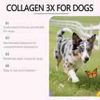 Dogs Collagen, Supports Joint Relief & Healthy Skin Coat, Gut Health, Premium Liquid Collagen Supplement, 2 fl.oz