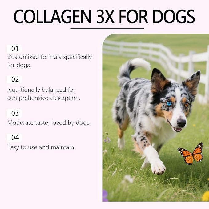 Dogs Collagen, Supports Joint Relief & Healthy Skin Coat, Gut Health, Premium Liquid Collagen Supplement, 2 fl.oz