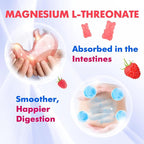 1000mg Magnesium L-Threonate Gummies for Kids & Adults - Muscle & Nervous System Support, Vegan, Sugar-Free Raspberry Flavor, 60 Gummies