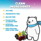 Kids Immune Support Elderberry Gummies - Daily Children's Vitamins C, Zinc & Kids Support Gummy - Nature's Sambucus Elderberry Supplement, Vegan, Gluten-Free, Tasty Berry Flavor - 120 Gummies