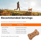 Nutri-Vet Skin & Coat Biscuits, Skin and Coat Supplement, Dog Treat, Dog Supplements, Omega 3 Fish Oil, Small Sized Biscuit, Made with Omega 3 and Biotin, Fish Oil Treat for Pets, 16 oz (Pack of 2)